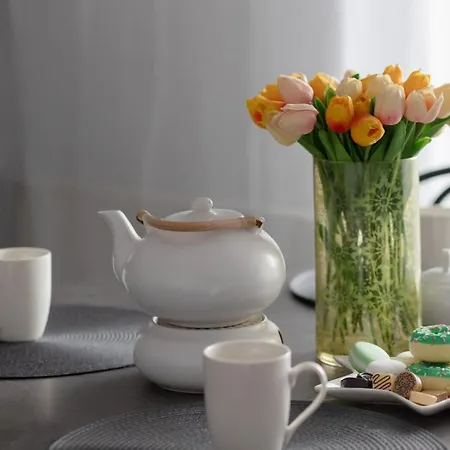 Blonia Wilanowskie By Renters