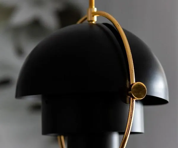 Blonia Wilanowskie By Renters *