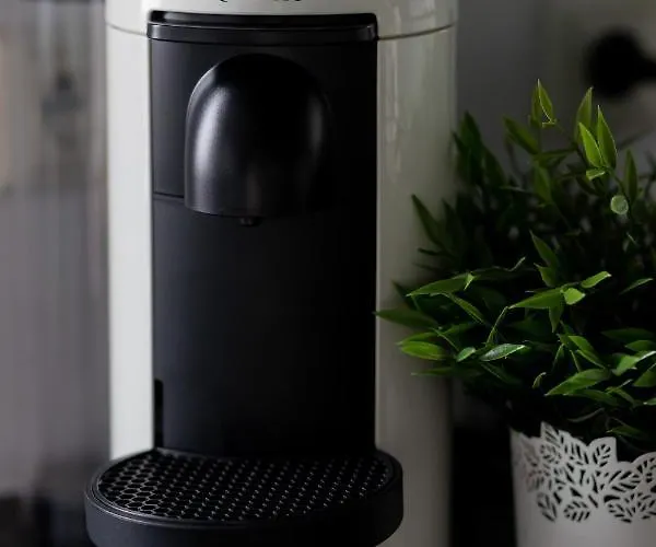 Blonia Wilanowskie By Renters * ワルシャワ